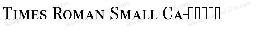 Times Roman Small Ca字体转换